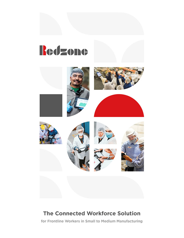Redzone Brochure for Small – Medium Enterprises