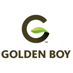 Golden Boy