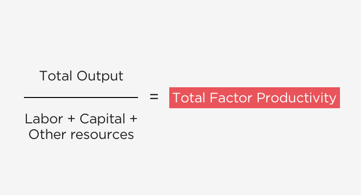 Total Factor Output Formula